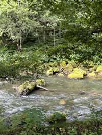 💚 홋카이도의 여름 산의 자연경관을 흠뻑 느껴보실 수 있는 명승지 스팟 🏞️💚