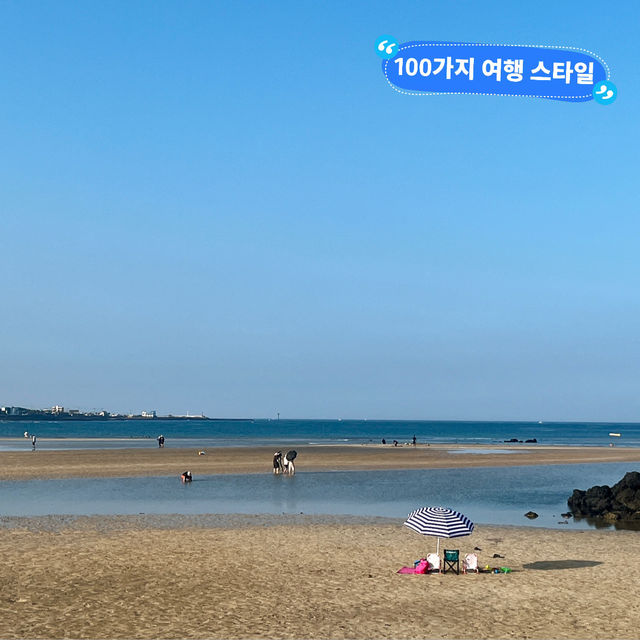 제주도 운치있는 바다 여행 표선해수욕장