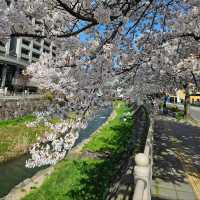 尊重傳統工藝保存的松本市
