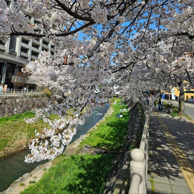 尊重傳統工藝保存的松本市