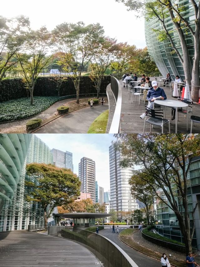 พาชมสถาปัตสวยๆที่ The National Art Center Tokyo🎌