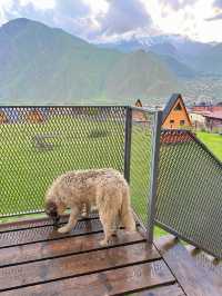 Kazbegi View 🇬🇪 ที่พักวิวสุดอลังการใน Kazbegi