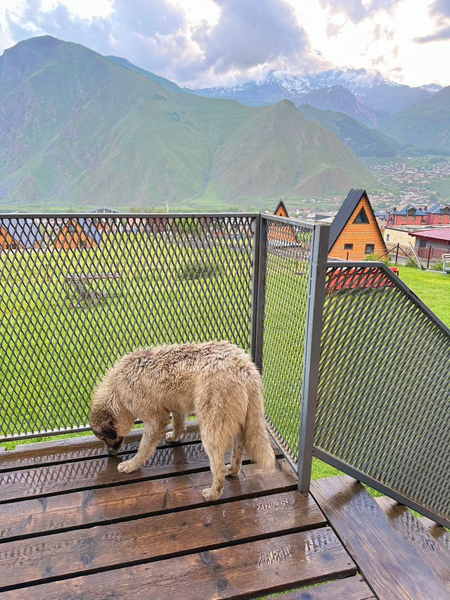 Kazbegi View 🇬🇪 ที่พักวิวสุดอลังการใน Kazbegi