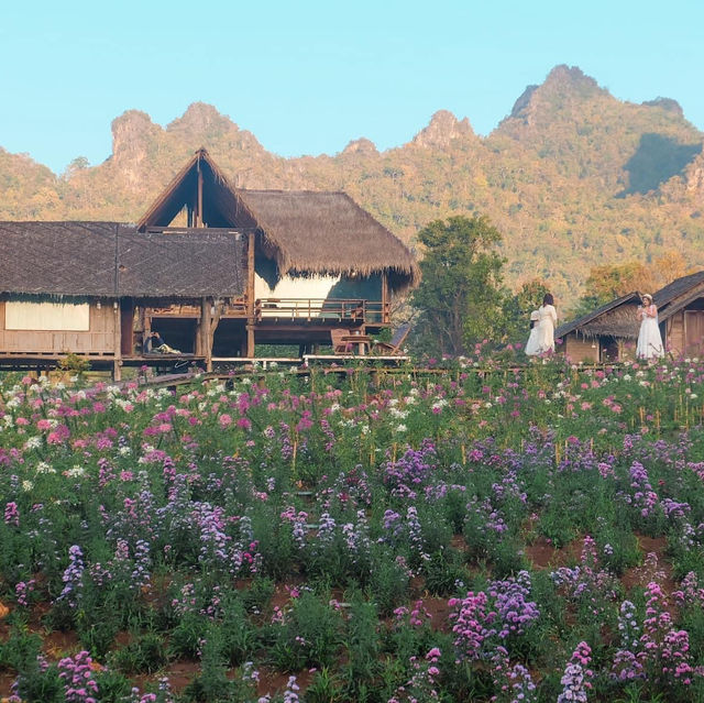 ไร่ภูผาหมวก ที่พักแสนสงบกลางทุ่งดอกไม้และสายหมอก