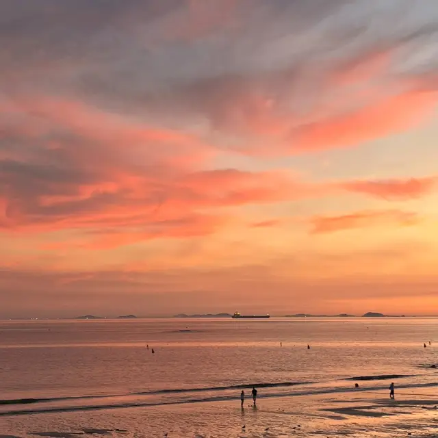 대천해수욕장 티켓 할인, 운영 시간, 후기 [2025년] | Trip.com