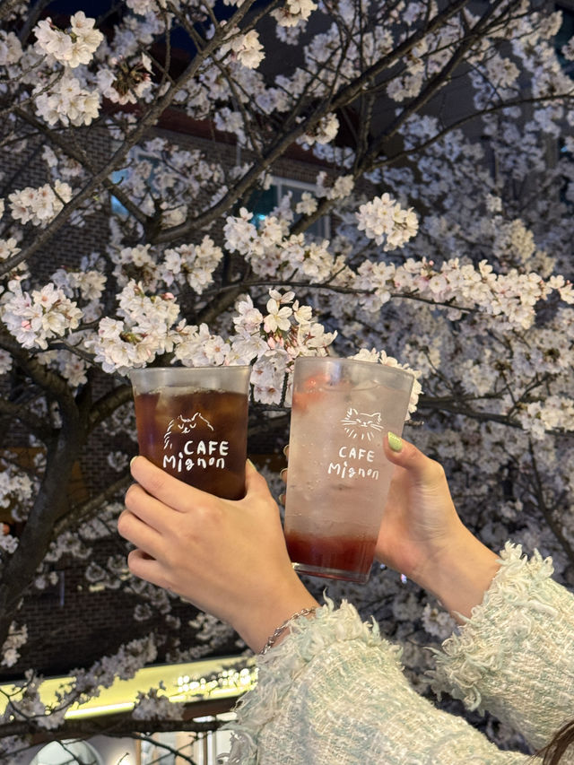 합정 벚꽃 뷰 대형 카페 ‘카페미뇽 합정점’