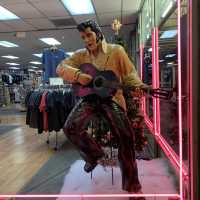 "Half-Day in Memphis: Top 5 Must-Do Activities"