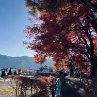 Kawaguchiko sight seeing