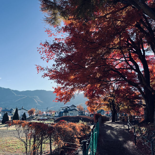 Kawaguchiko sight seeing