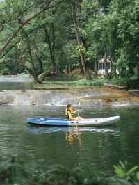 ปลาวาฬหลงทาง CAMP & CAFE' 
