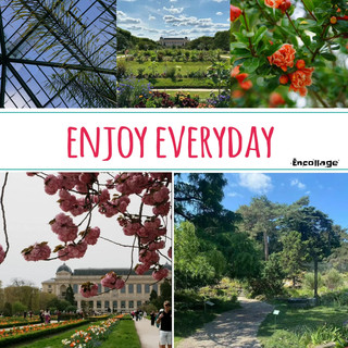 Cambridge University Botanic Garden🛟 Comprehensively understand the wonders of nature