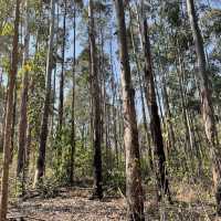 Pedal Through Wildlife in Eswatini’s Best-Kept Secret