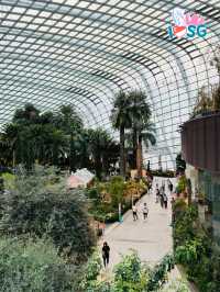 🇸🇬 Flower Dome Impressions of Monet