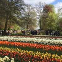 Keukenhof Gardens, Netherlands – Tulip Blossom Festival