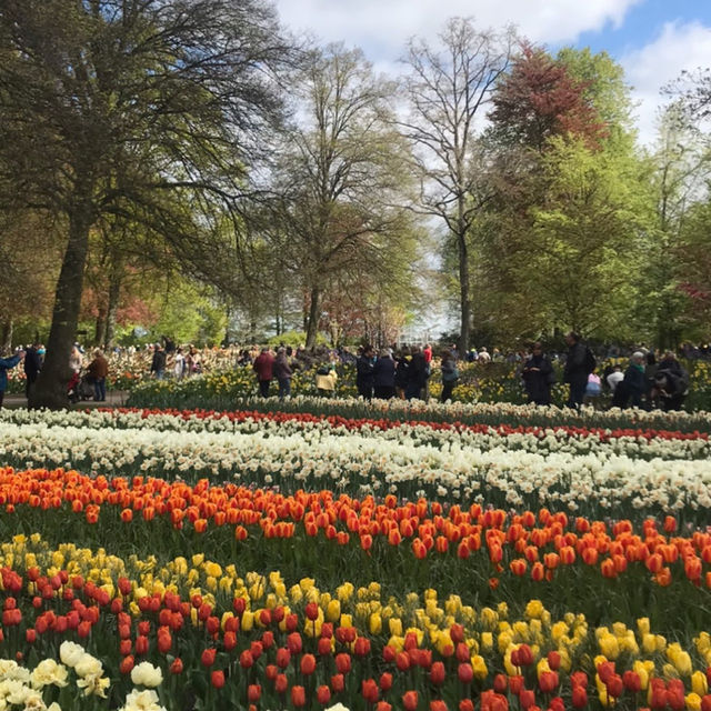 Keukenhof Gardens, Netherlands – Tulip Blossom Festival