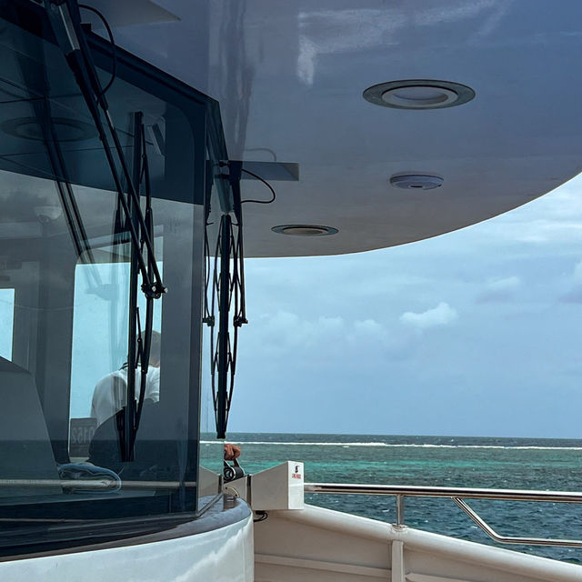 Scuba Diving in the Great Barrier Reef, Australia
