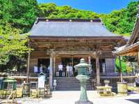 藥王寺櫻花