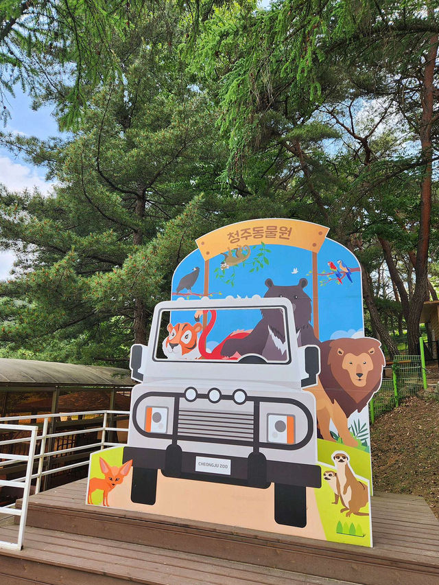 🌼༉₊🌤 청주랜드동물원