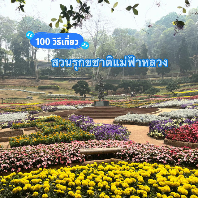 🌺สวนรุกขชาติแม่ฟ้าหลวง...สวนกุหลาบพันปี🌺
