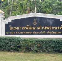 กาแฟขี้ชะมดโครงการพัฒนาส่วนพระองค์จังหวัดชุมพร