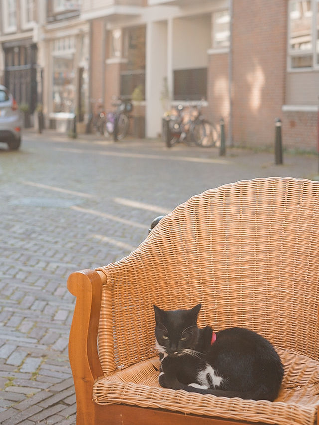 📍Dordrecht