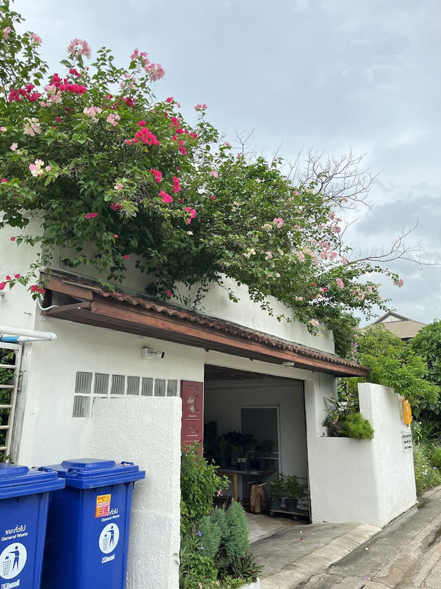 🍰🌻 Summer Rain - Cafe & Casual Dining