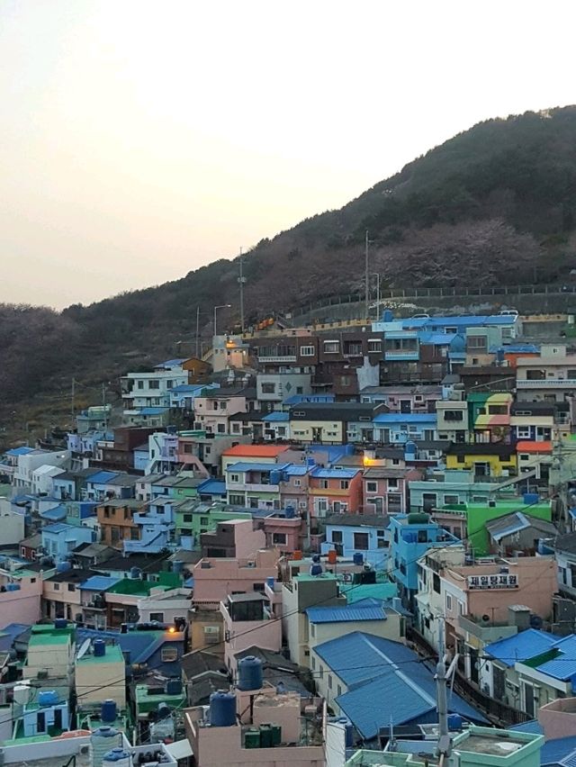A HIDDEN GEM IN BUSAN