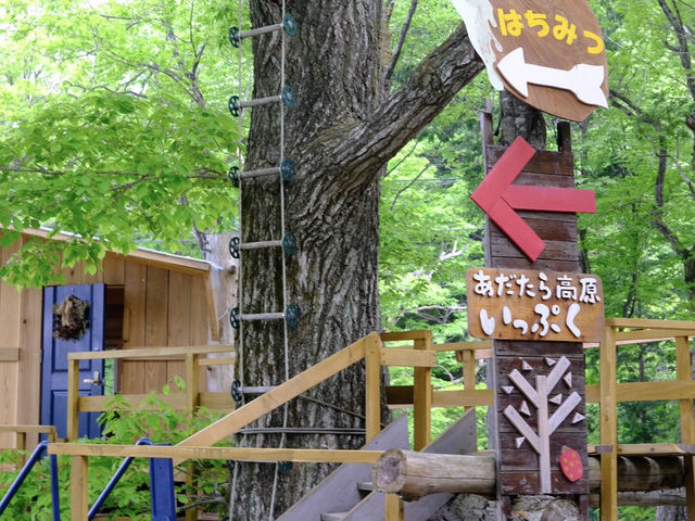 【福島】