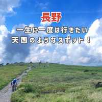 【美ヶ原高原】一生に一度は行きたい天国のようなスポット☁️