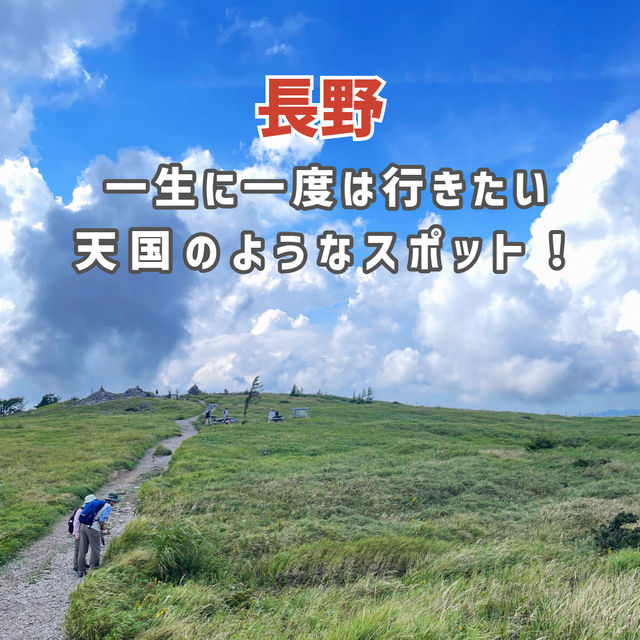 【美ヶ原高原】一生に一度は行きたい天国のようなスポット☁️