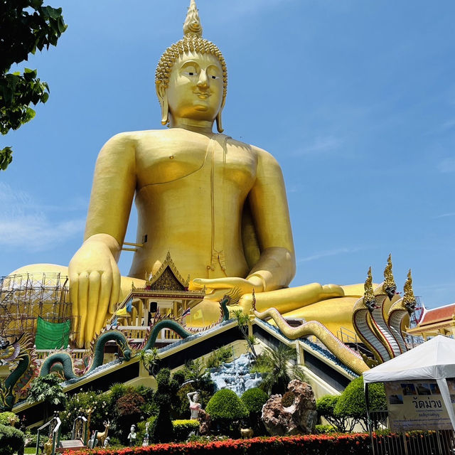 วัดม่วง อ่างทอง 🙏🏻