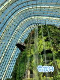 濱海灣花園-新加坡旅遊必到地方，人氣景點𣾀集地