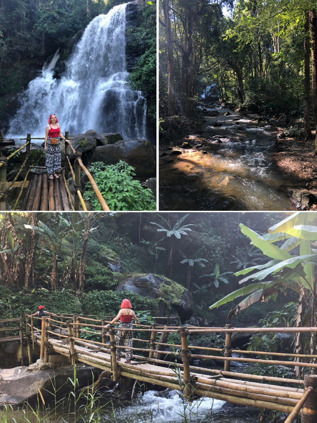 Solo Trip to Doi Inthanon National Park in Chiang Mai, Thailand 🇹🇭