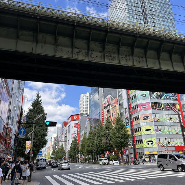 Tokyo Vibes: Where Tradition Meets Tech 🌸🎌