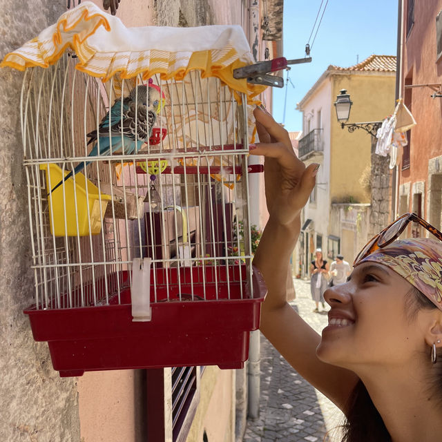 Colourful heart of Lisbon 🌺🦜