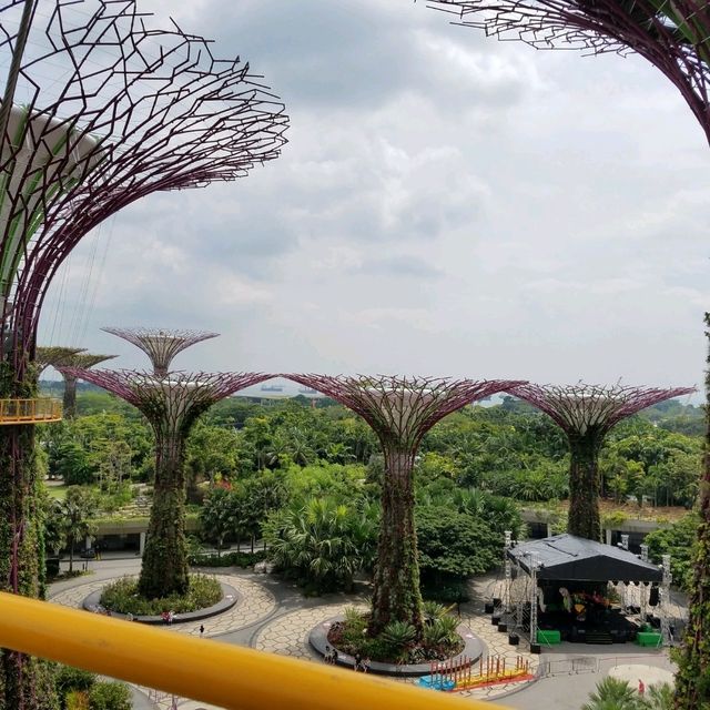 OCBC SKY WAY♪♪