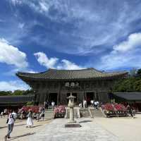 慶州必去景點-佛國寺