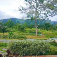Bucolic เขาใหญ่ คาเฟ่บรรยากาศดี