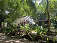 หลาดใต้โหนด ตลาดชิวเมืองพัทลุง