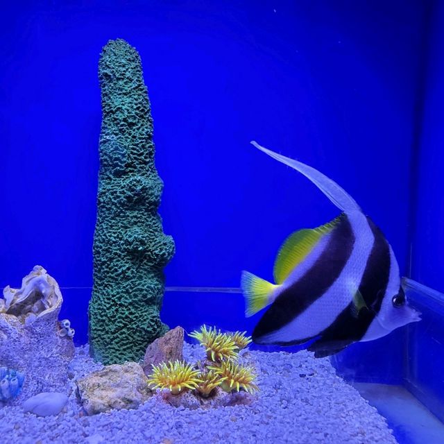 Underwater World Pattaya 