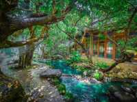 เที่ยวเชียงใหม่เหมือนอยู่ในป่าหิมพานต์ 