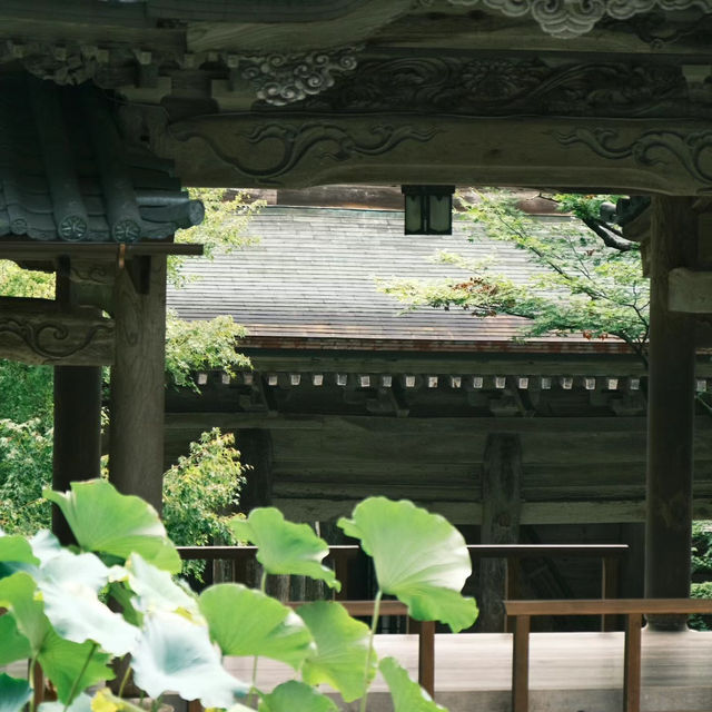法雲禪寺：日式靜謐 🍃🧘‍♂️