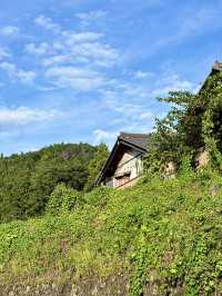 Scenic Train Journey from Nagiso to Nagoya 🚊