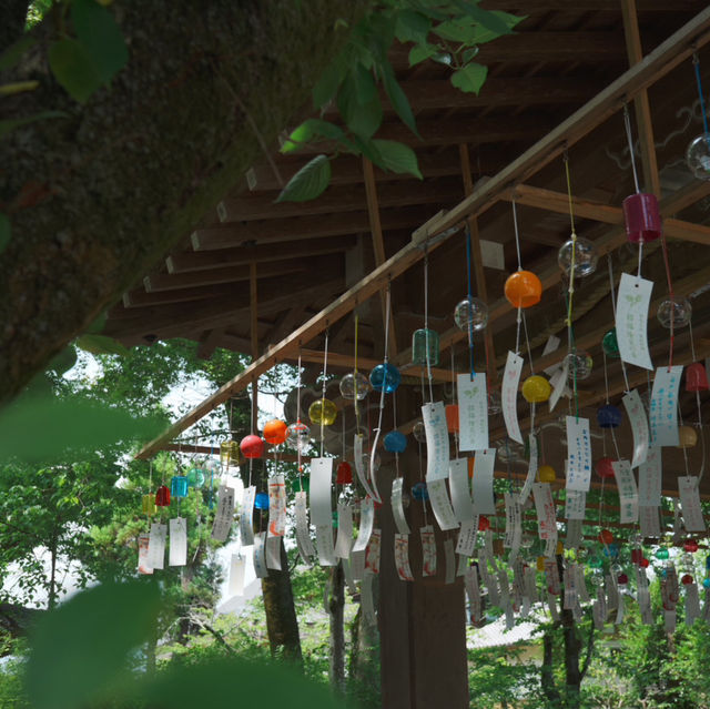 【京都観光】酒造りと縁結びの神様を祀る！「松尾大社」⛩️ 🍶