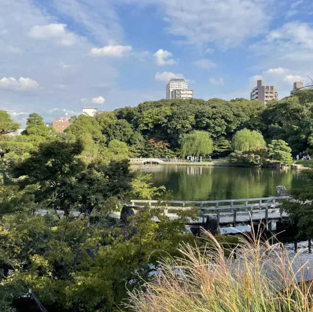 名古屋冷門景點推薦：德川園的靜謐之美