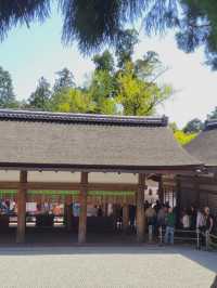 【朱塗りのあでやかな社殿が魅力✨世界遺産春日大社⛩️】