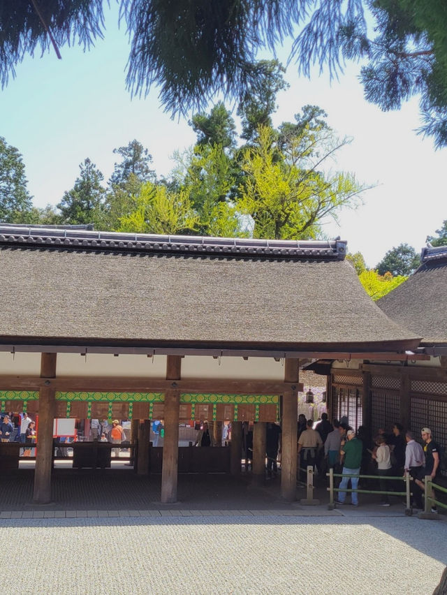 【朱塗りのあでやかな社殿が魅力✨世界遺産春日大社⛩️】