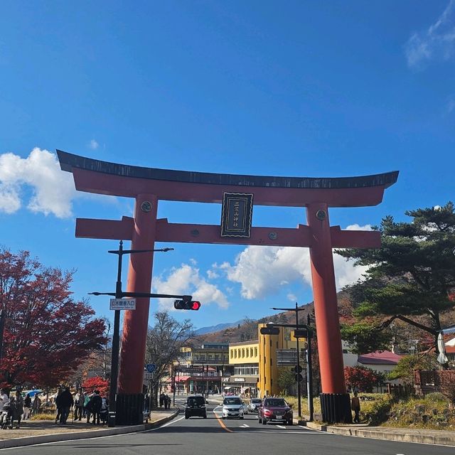 ใบไม้เปลี่ยนสี nikko