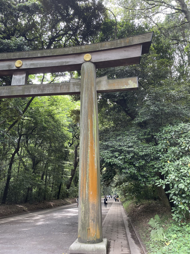 Serenity in the Heart of Tokyo: A Walk through Meiji Jingu