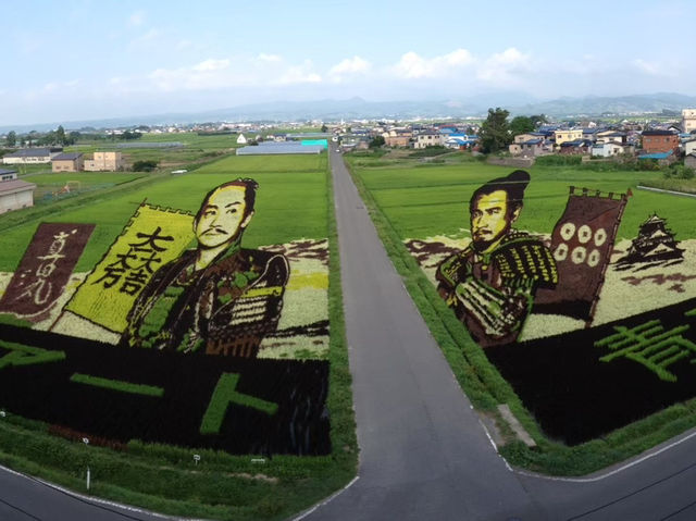 【青森/田舎館】必見‼︎田んぼアート